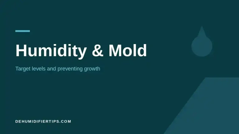 DehumidifierTips.com cover graphic for the Humidity and Mold category: target levels and preventing growth