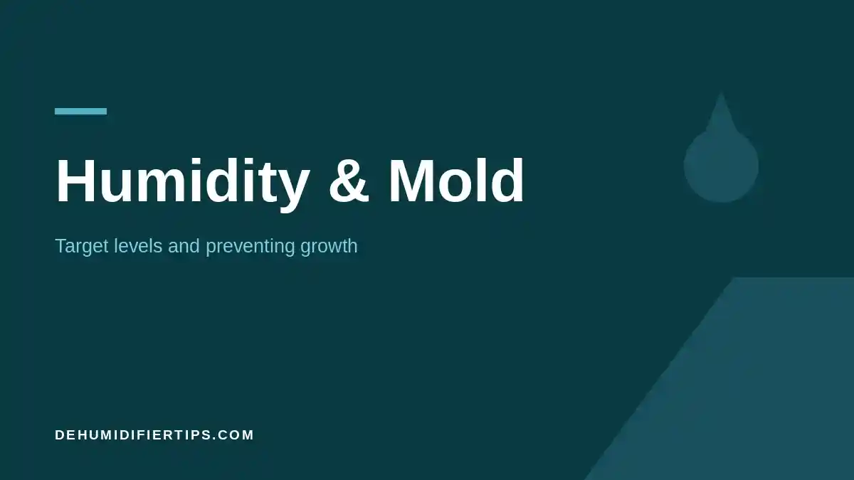 DehumidifierTips.com cover graphic for the Humidity and Mold category: target levels and preventing growth